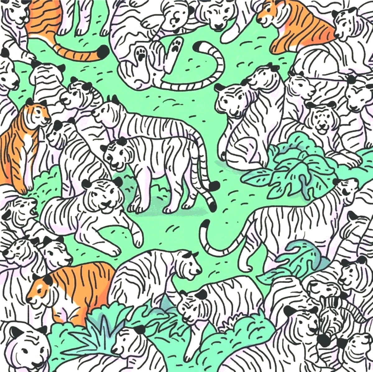zebra-test.jpg